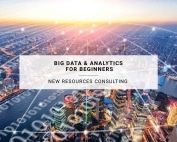 Big Data & Analytics for Beginners | New Resources Consulting
