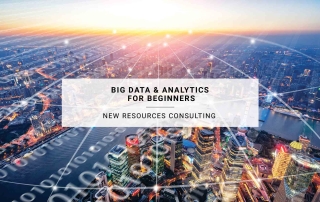 Big Data & Analytics for Beginners | New Resources Consulting