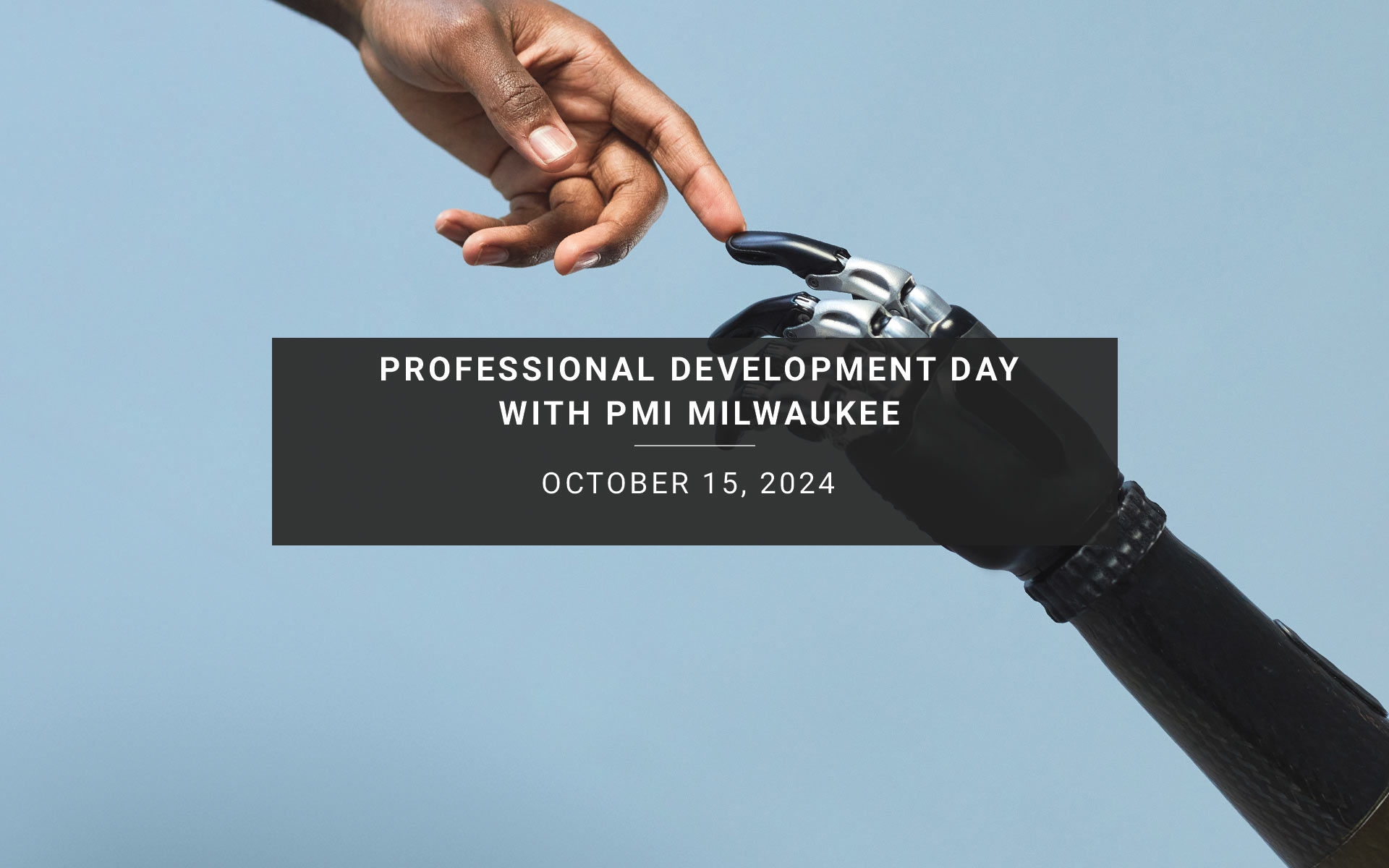 Professional Development Day with PMI Milwaukee | New Resources Consulting