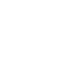 Interim CIO Interim CIO