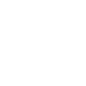 On-Demand CIO On-Demand CIO