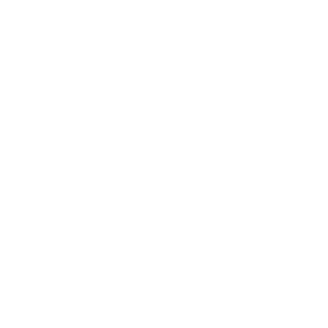 Project-Based CIO Project-Based CIO